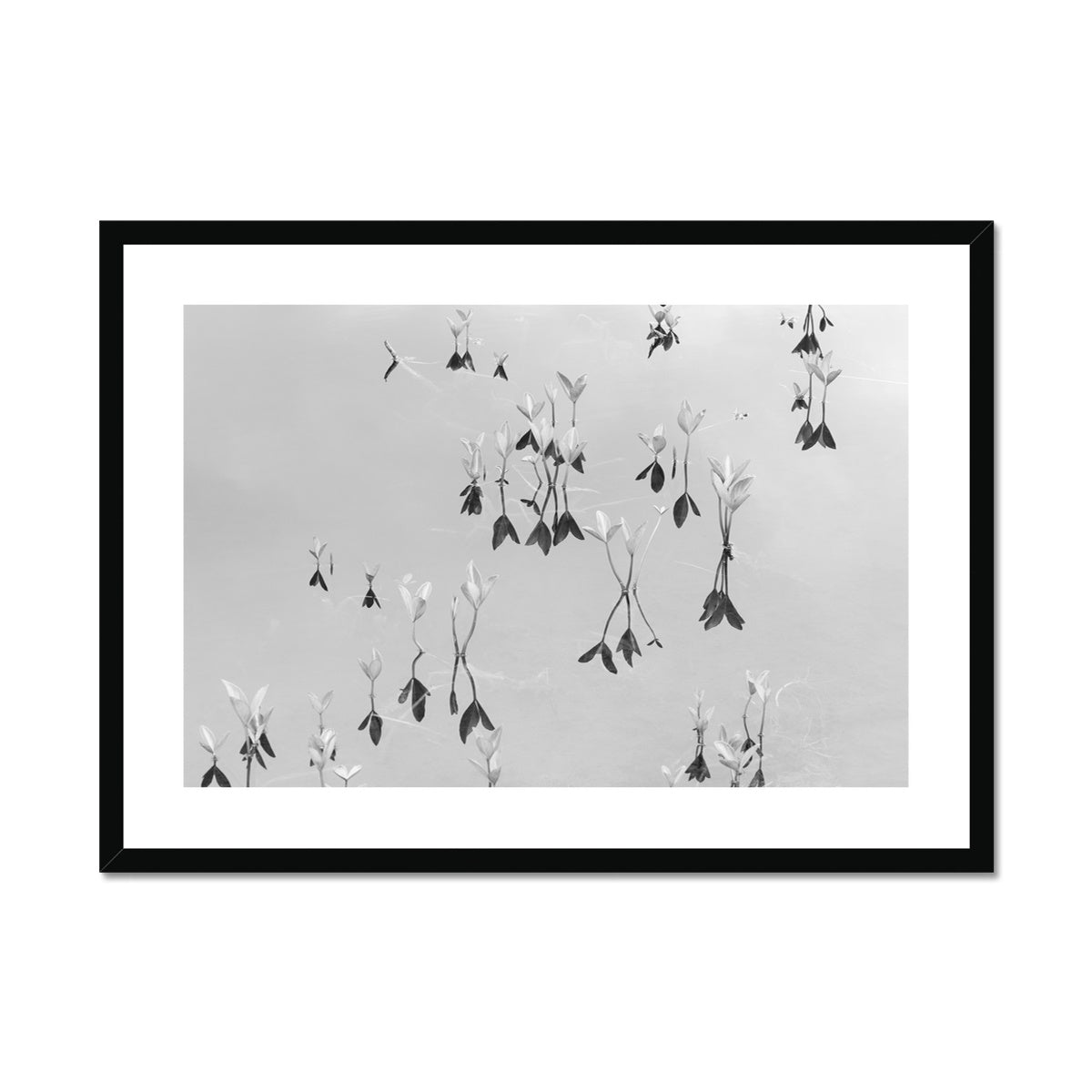Black and white fine art photography print featuring a peaceful lake, available as wall art with framing options.