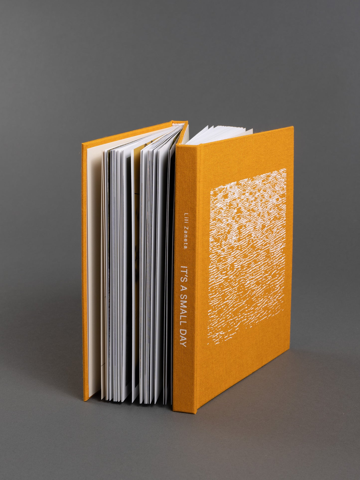 Artist's book titled 'It's a Small Day,' featuring 300 pages of photography and text in a unique two-in-one format
