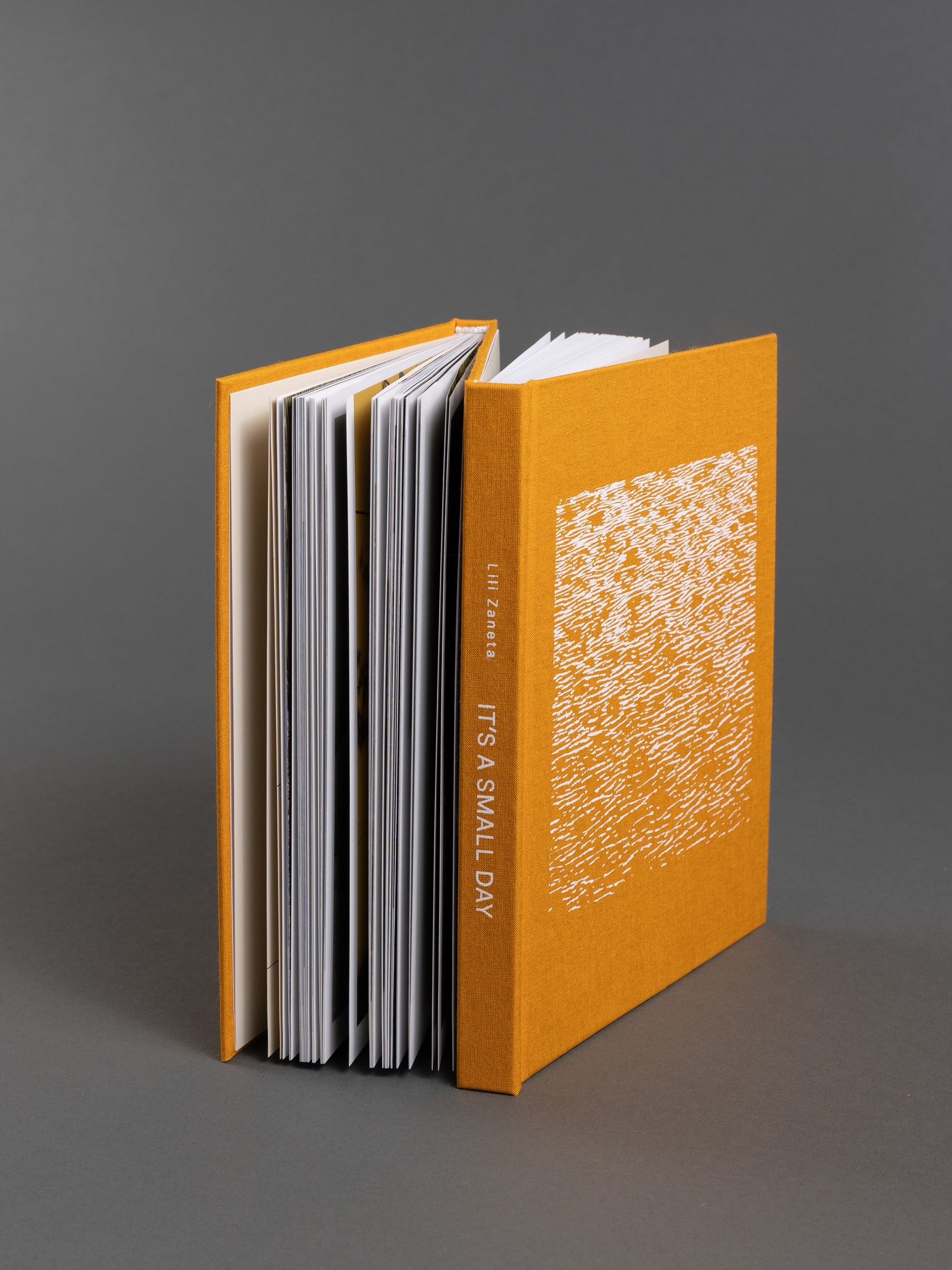 Artist's book titled 'It's a Small Day,' featuring 300 pages of photography and text in a unique two-in-one format