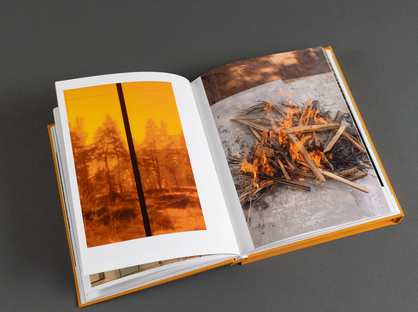Artist's book titled 'It's a Small Day,' features photography of everyday moments. Fire, trees, warmth.
