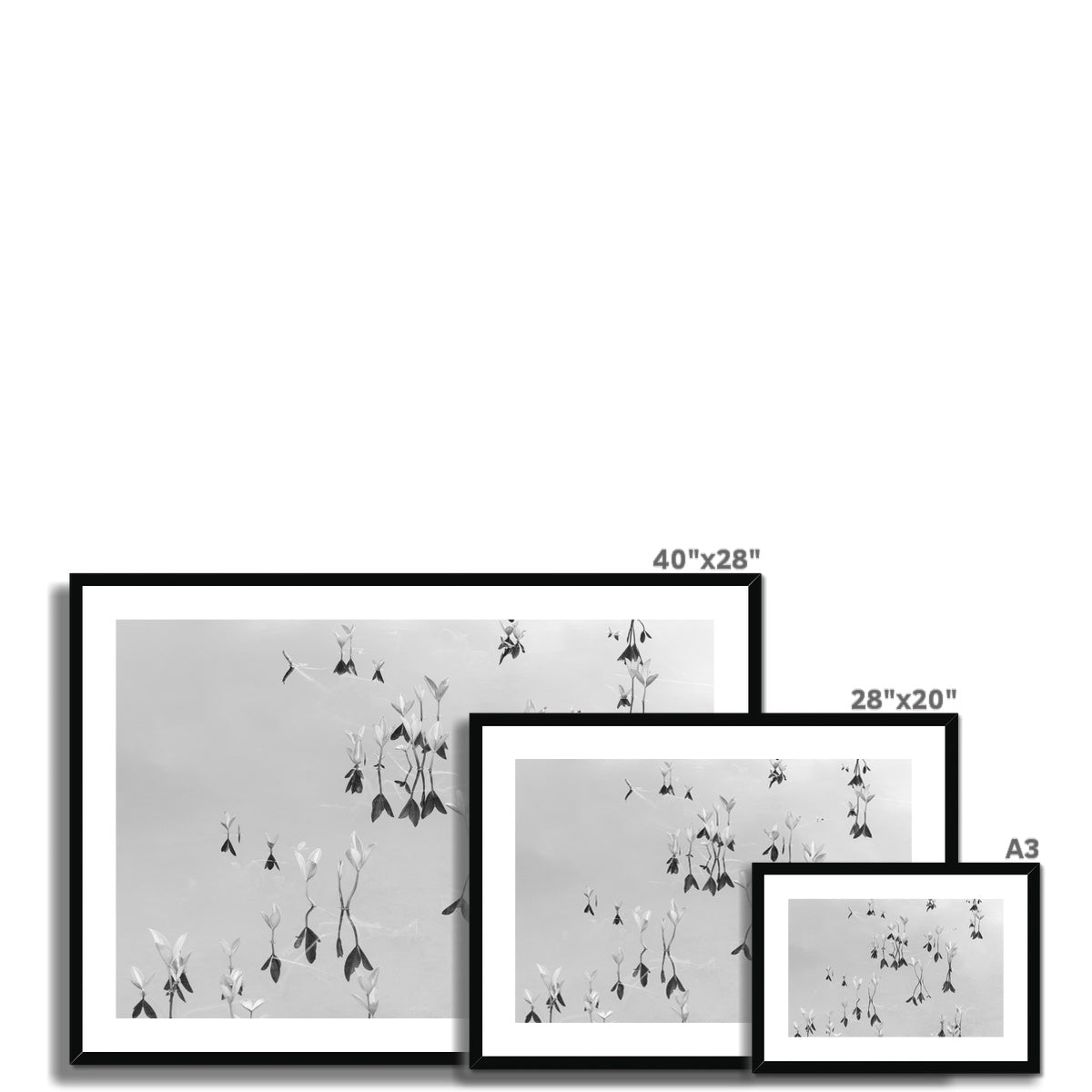 Black and white fine art photography print featuring a peaceful lake, available as wall art with framing options.