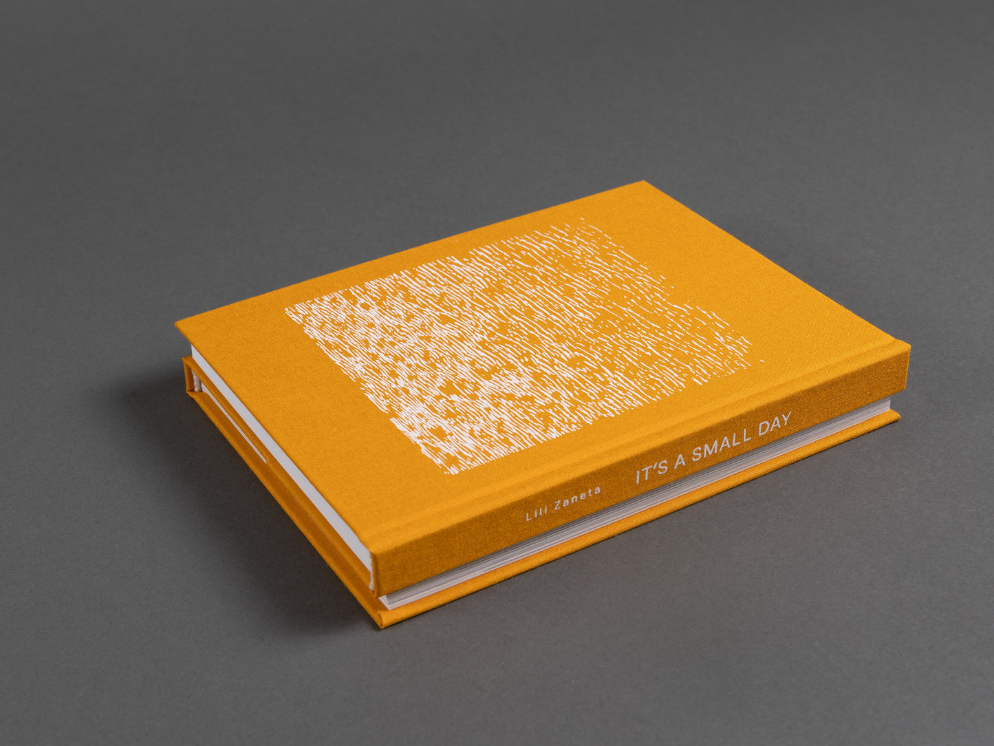 Artist's book titled 'It's a Small Day,' features photography of everyday moments. Unique two-in-one cover format