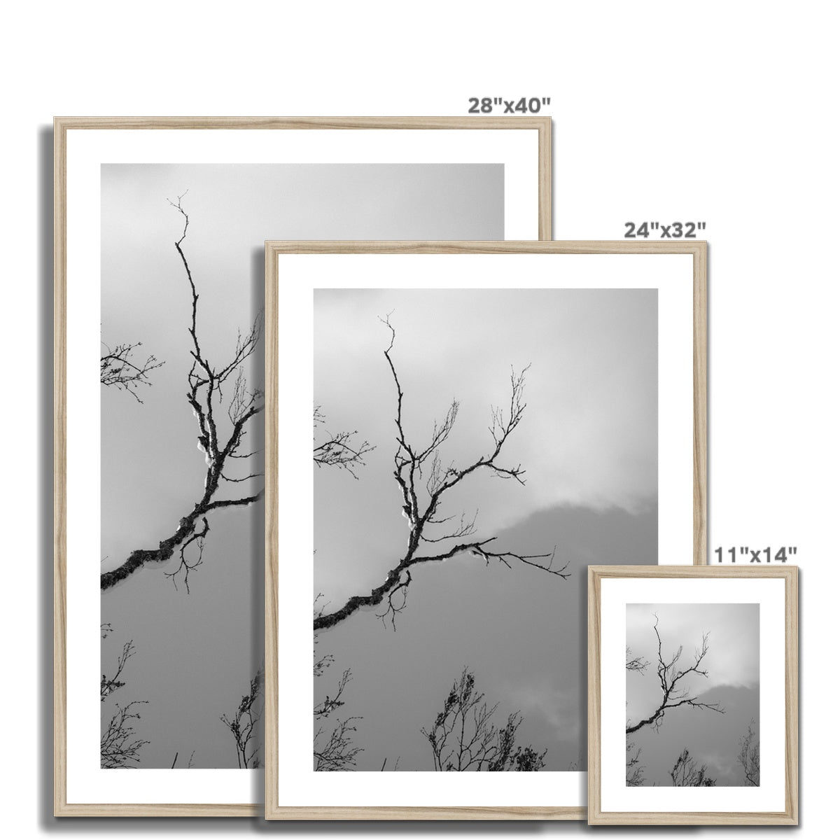 In Between - photography print - Zaneta Studio