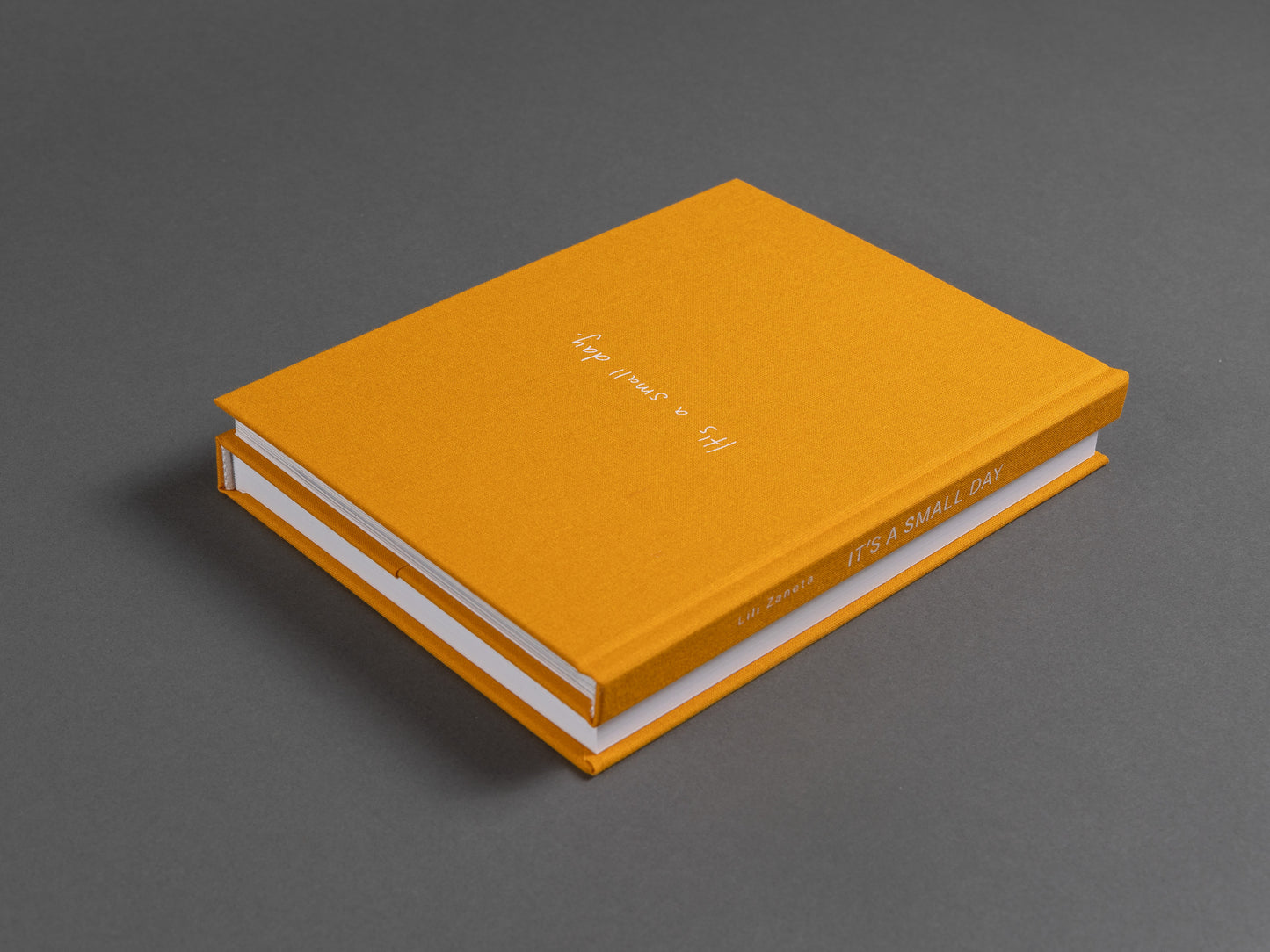 Artist's book with  two-in-one cover format