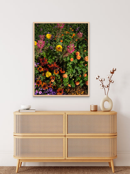 Colorful fine art photography print featuring a vibrant display of flowers, shown in an minimalistic interior setting, available as wall art with framing options.