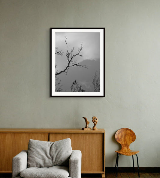 Black and white fine art photography print featuring a tree branch, displayed in an interior setting, available as wall art with framing options.