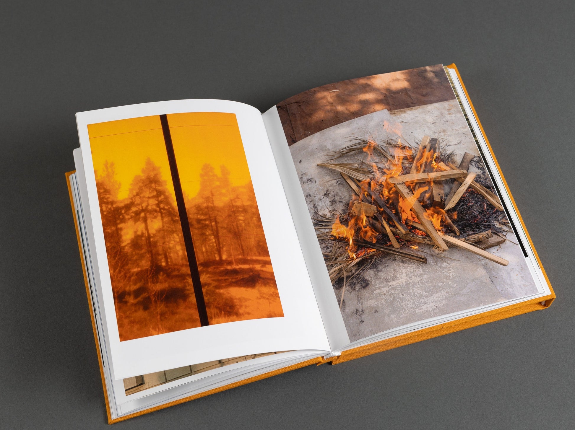 Artist's book titled 'It's a Small Day,' features photography of everyday moments. Fire, trees, warmth. 