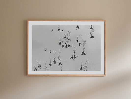 Black and white fine art photography print featuring a peaceful lake detial, wooden framed print.